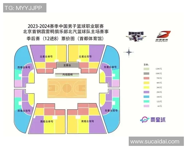 篮球赛事观赛全攻略让你轻松享受每一场精彩比赛的乐趣与激情